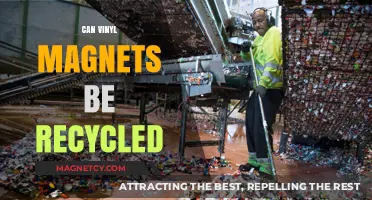 Sustainable Solutions: The Truth About Recycling Vinyl Magnets