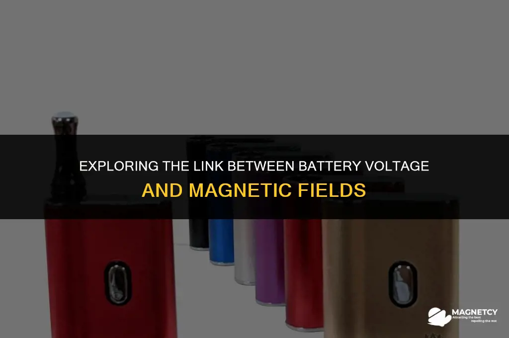 can voltage of a battery cause a magnetic field