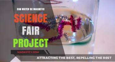 Exploring the Magnetic Properties of Water: A Science Fair Journey