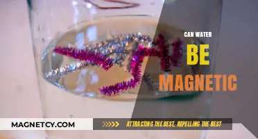 Exploring the Fascinating World: Can Water Really Be Magnetic?