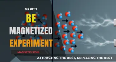 Exploring the Magnetic Properties of Water: A Simple Experiment
