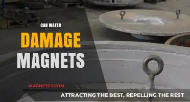 Exploring the Effects of Water on Magnets: A Comprehensive Guide