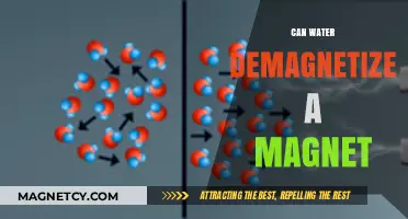 Exploring the Effects of Water on Magnetism: Can H2O Demagnetize?
