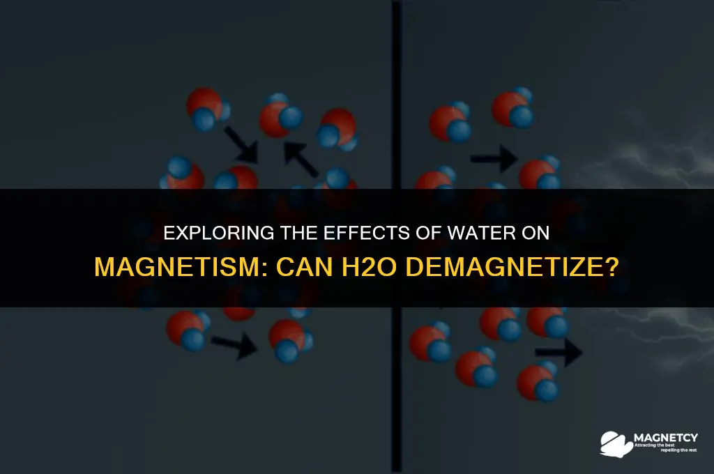 can water demagnetize a magnet