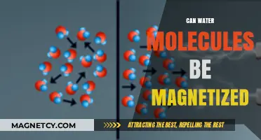 Exploring the Magnetic Potential of Water Molecules: A Scientific Inquiry