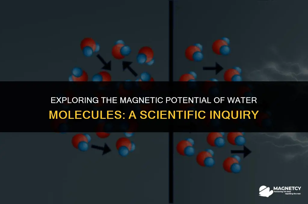 can water molecules be magnetized