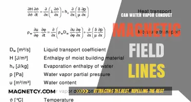 Exploring the Interaction: Water Vapor and Magnetic Field Lines