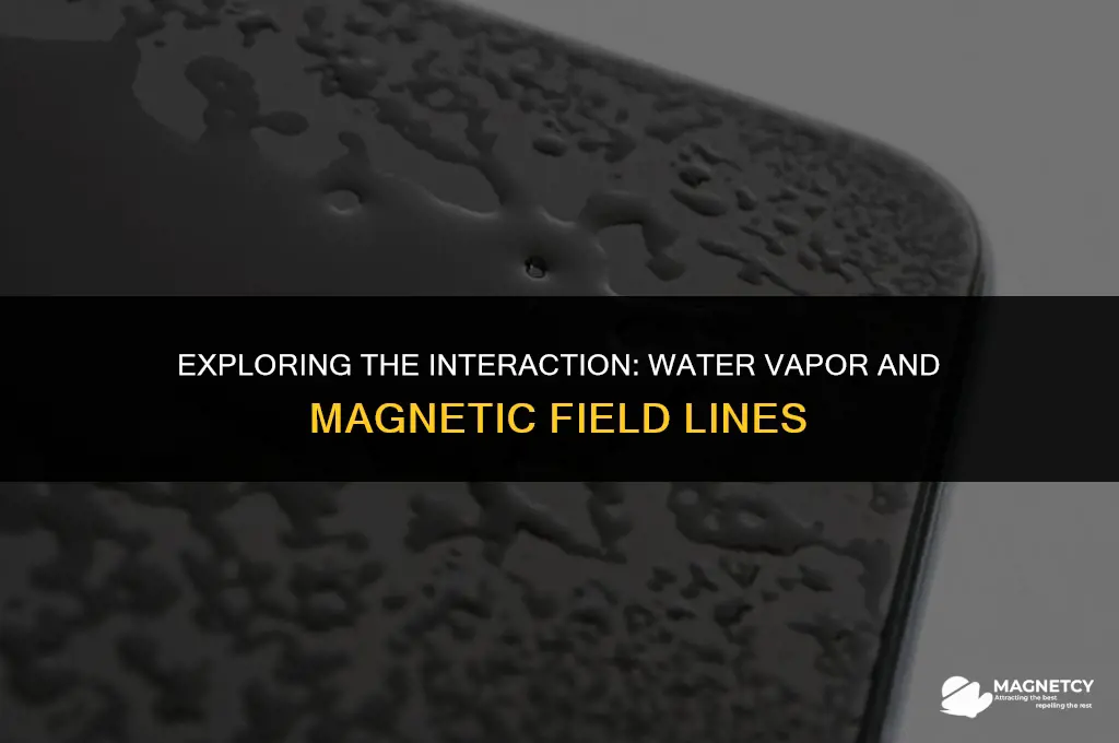 can water vapor conduct magnetic field lines