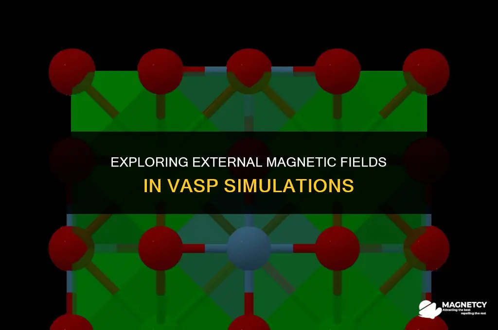 can we apply external magnetic field in vasp