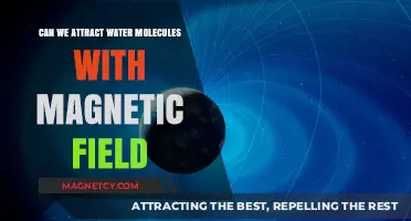 Magnetic Fields and Water: Exploring the Attraction of Molecules