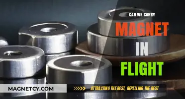 Skybound with Magnets: Unraveling the Mysteries of In-Flight Magnetism