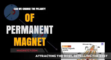 Exploring the Possibilities: Can We Reverse the Polarity of Permanent Magnets?