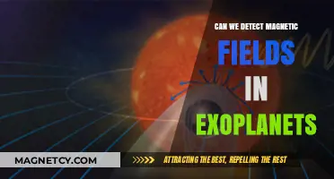 Exploring the Cosmos: Can We Detect Magnetic Fields in Exoplanets?