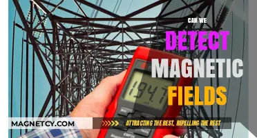 Exploring the Invisible: Can We Detect Magnetic Fields?