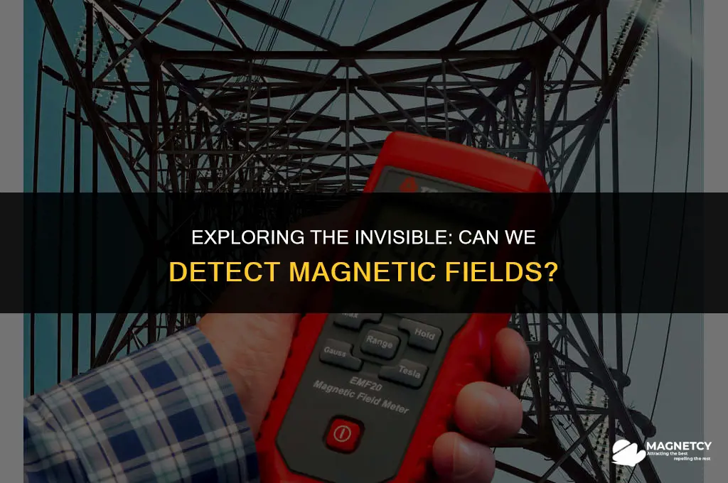 can we detect magnetic fields