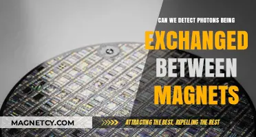 Exploring the Elusive: Photon Exchange Between Magnets