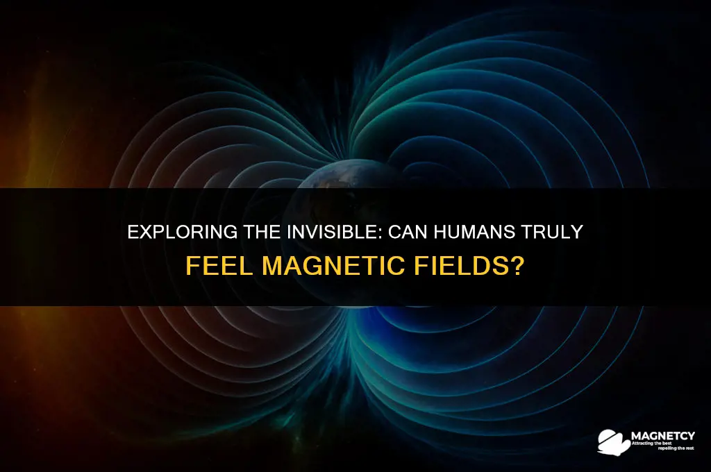 can we feel magnetic fields
