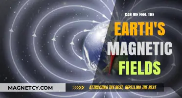 Exploring the Invisible Force: Earth's Magnetic Field and Its Effects