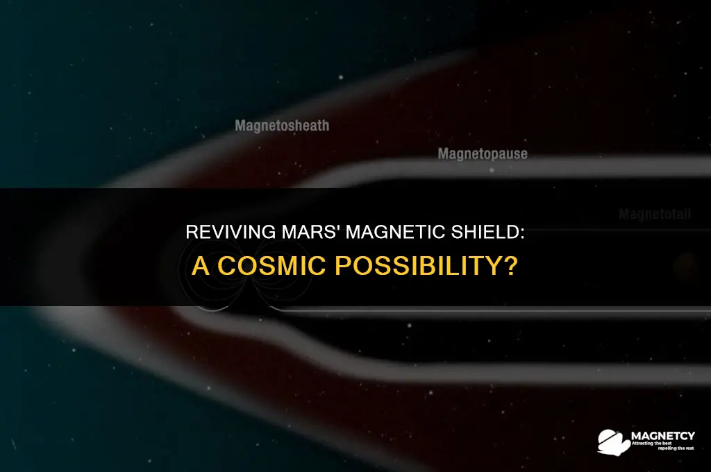 can we fix mars magnetic field