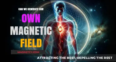 Unlocking the Secrets: Can We Harness Our Own Magnetic Fields?