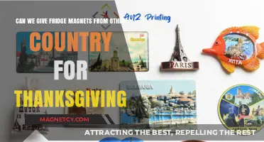 Global Gratitude: Sharing International Fridge Magnets This Thanksgiving