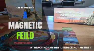 Terraforming Mars: The Quest for a Magnetic Field
