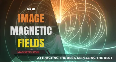 Visualizing the Invisible: Can We Truly Image Magnetic Fields?