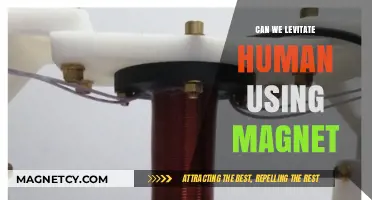 Human Levitation: Exploring the Possibility of Magnetic Suspension