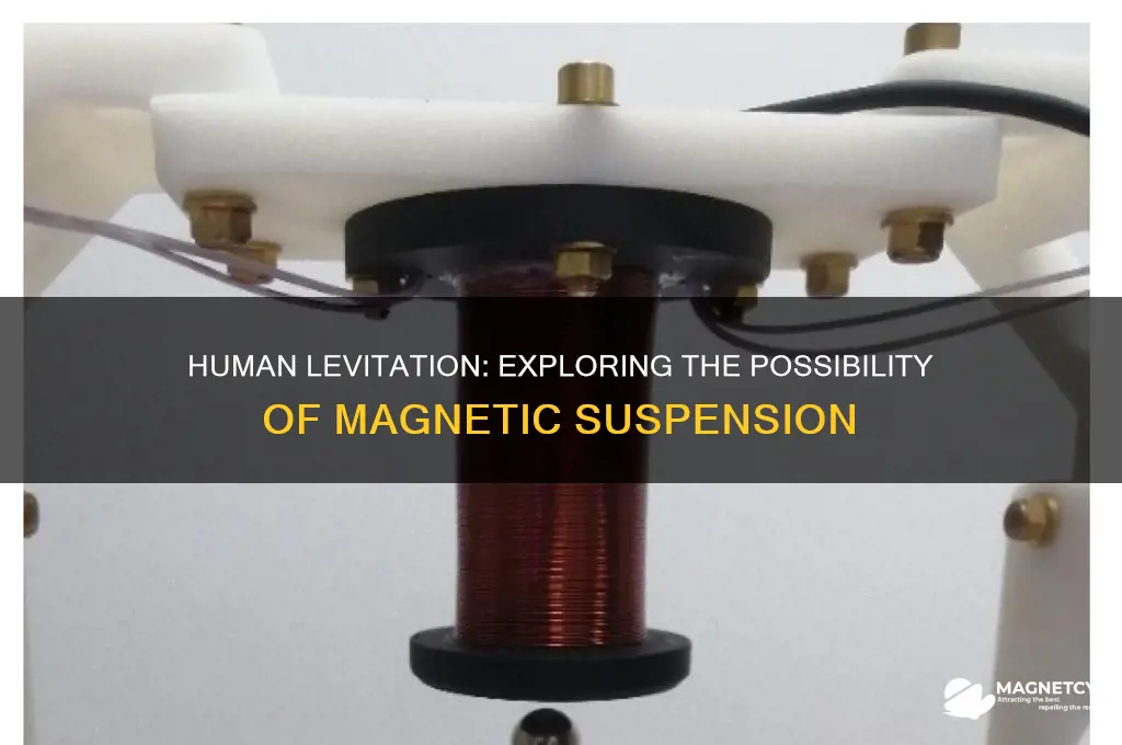 can we levitate human using magnet