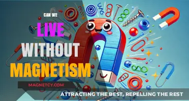 Exploring a World Without Magnetism: Possibilities and Implications