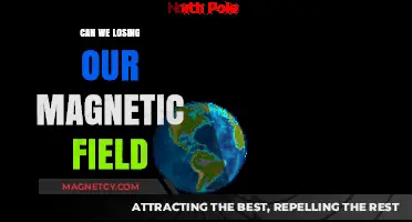 Earth's Magnetic Shield: Are We Losing It?