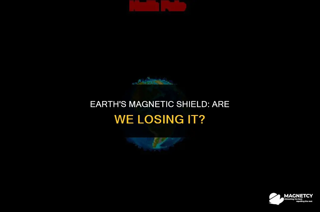 can we losing our magnetic field