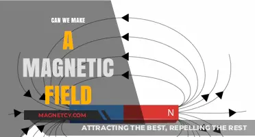 Exploring the Possibilities: Can We Create Magnetic Fields?