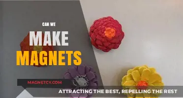 Exploring the Science Behind Homemade Magnets: A DIY Journey