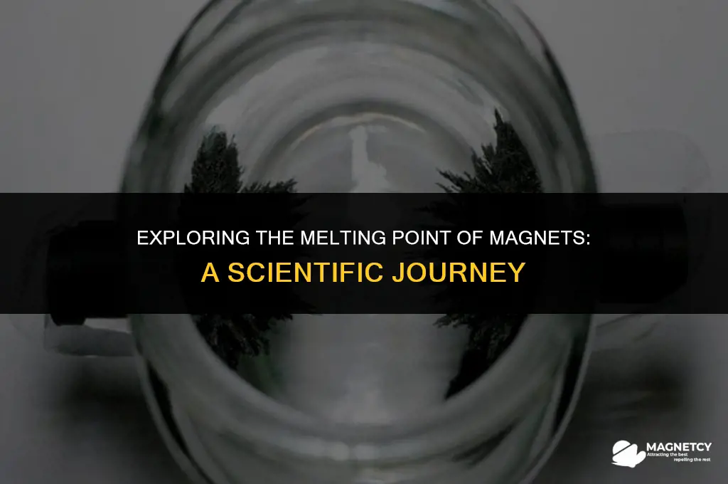 can we melt magnet
