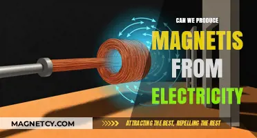 Exploring the Connection: Can Electricity Generate Magnetism?