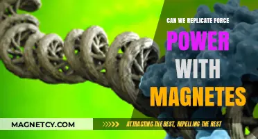 Exploring the Limits: Can Magnetism Unleash Force Power?