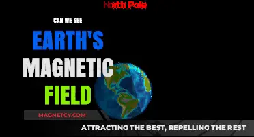 Unveiling the Invisible: Earth's Magnetic Field Explained