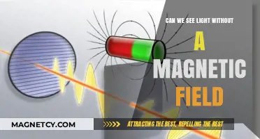 Exploring the Nature of Light: Magnetic Fields and Beyond