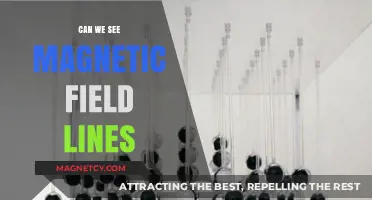 Unveiling the Invisible: Can We Truly See Magnetic Field Lines?