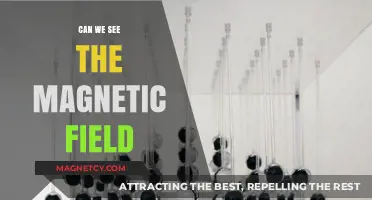 Unveiling the Invisible: Can We See the Magnetic Field?