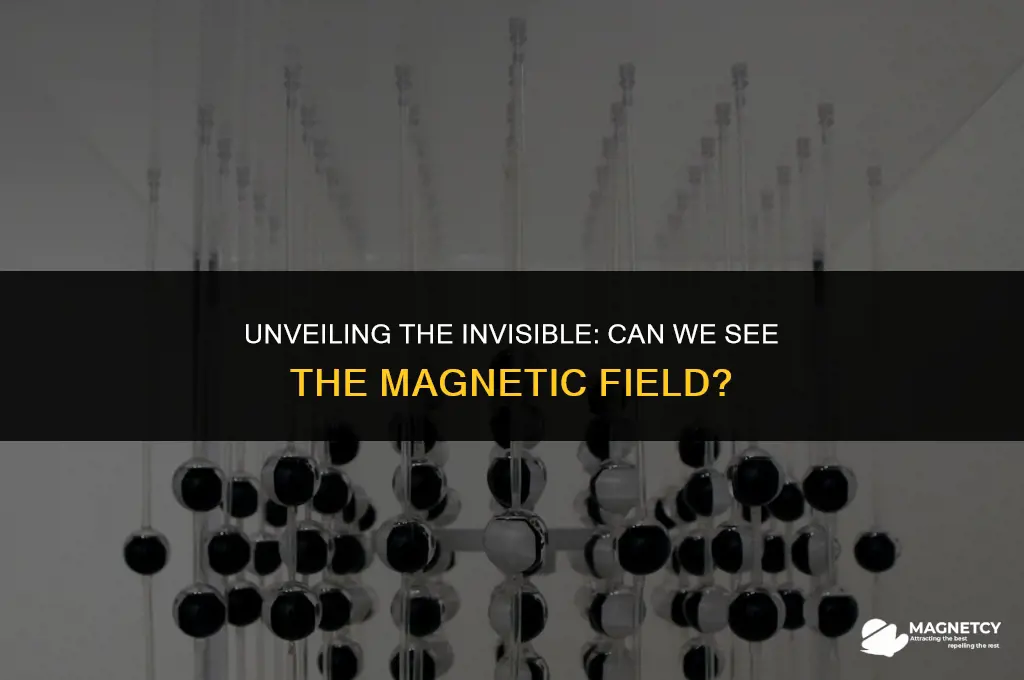 can we see the magnetic field