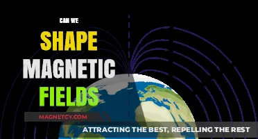 Exploring the Frontiers of Magnetism: Can We Shape Magnetic Fields?