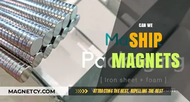 Exploring the Logistics of Shipping Magnets: A Comprehensive Guide