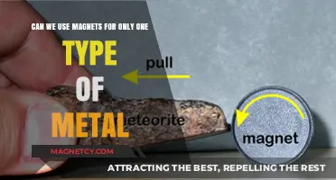 Magnets and Metal: Exploring Single-Type Attraction Possibilities