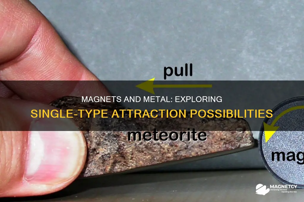 can we use magnets for only one type of metal
