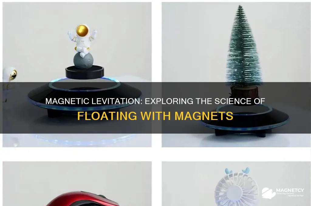 can we use magnets to float