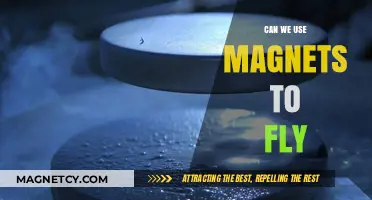 Magnetic Flight: Exploring the Possibility of Using Magnets to Soar