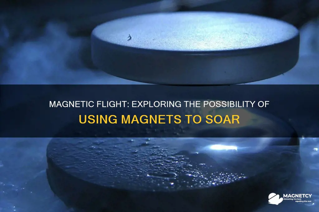 can we use magnets to fly