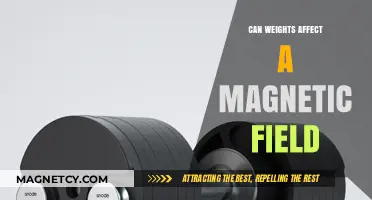 Exploring the Intriguing Relationship Between Weights and Magnetic Fields